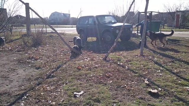 13 ноября 2021 г. смотреть онлайн