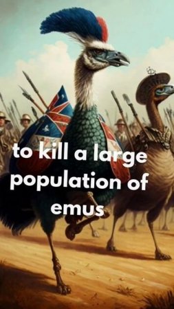 the great emu war! #shorts #facts #unknownfacts #education #discover #war #history