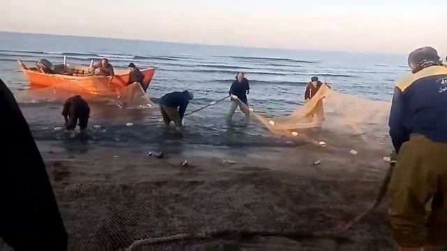 Ловля рыбы