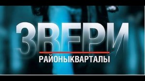 Звери-Районы Кварталы (Force Sound DnB Remix)
