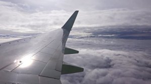 Москва - Сочи S7 Boeing 737-800