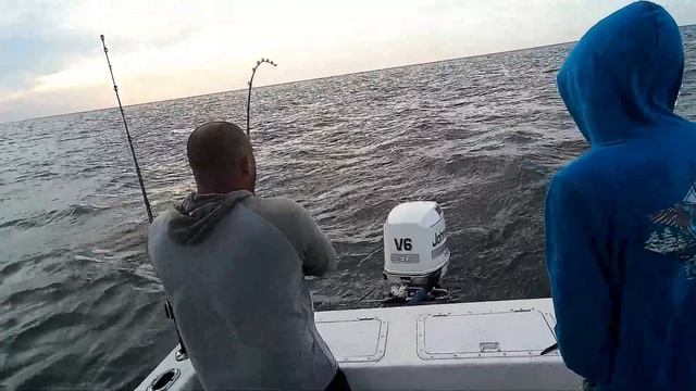 Chesapeake Bay fishing 4 BUCROE Beach COBIA, YORK SPIT SPADE fish, sharks, tons of spot & king fish смотреть онлайн