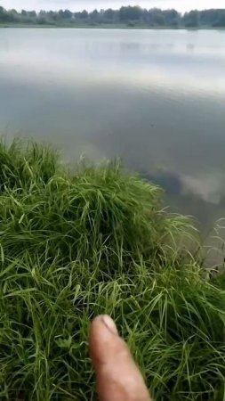 Утренняя рыбалка на карася,и ратана,часть3