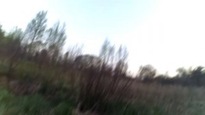 Охота на вальдшнепа 2017