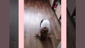 Театральная мастерская Подмостки театральные этюды Животные