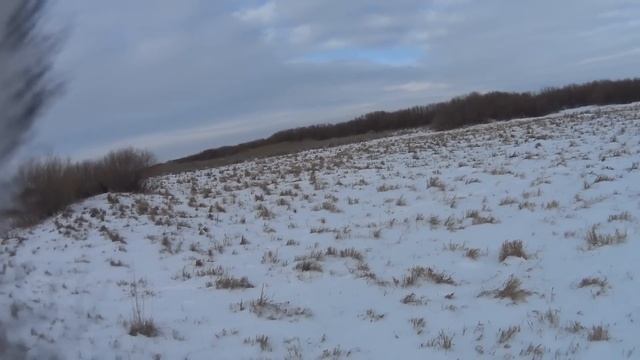 Охота на зайца 2019-2020 № 63 смотреть онлайн