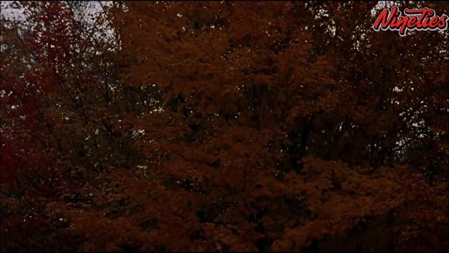 Tommy Boy (1995) (Cut from the movie) смотреть онлайн