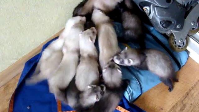 012.MPG смотреть онлайн