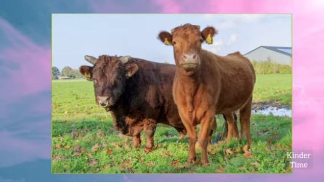 pet sounds sonidos de mascots 寵物的聲音 звуки домашних животных pets животные смотреть онлайн