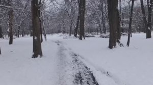 ЗИМА В  РОСТОВЕ -НА-ДОНУ !!!  СУГРОБЫ! ЗИМНЯЯ КРАСОТА ! МАЛАЯ СКЖД, ПЛАНЫ НА БЛИЖАЙШЕЕ БУДУЩЕЕ