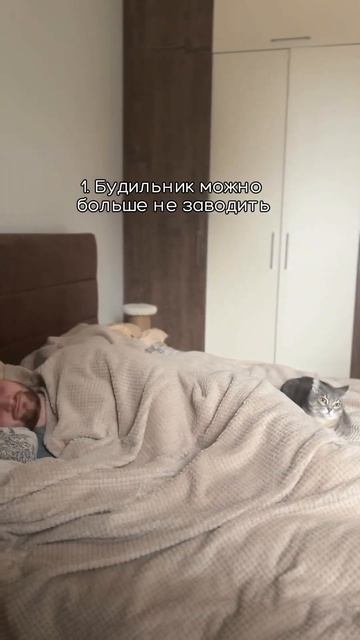 Какие правила есть в вашей котосемье? 🐱😼