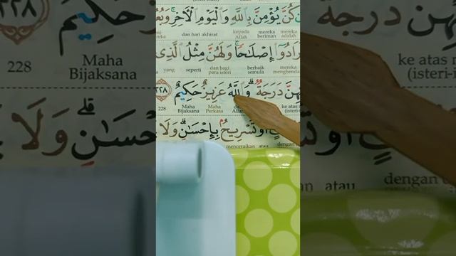 CARA BACAAN : AYAT 225-230, SURAH AL BAQARAH (MS 36) OLEH USTAZ SAIF смотреть онлайн