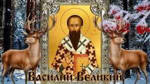 12 февраля. Васильев день