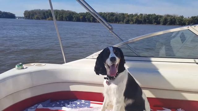 Skipper Sadie 2 смотреть онлайн