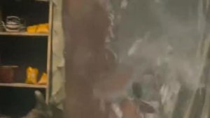 Фильм 2019 откроет остров! ЗОВ ЧЕРЕПА