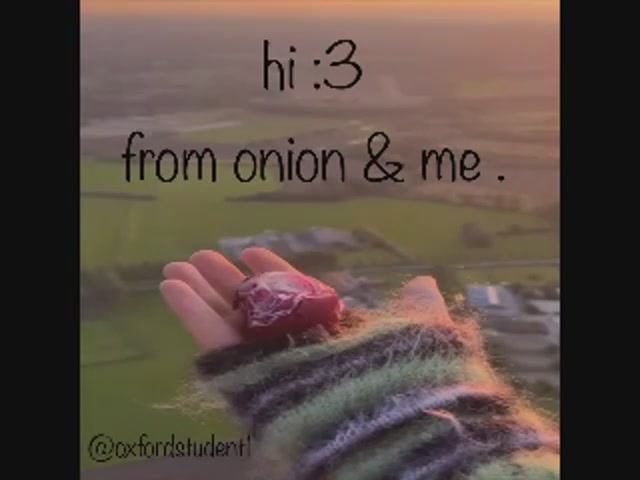 Funny Onion Song-joost