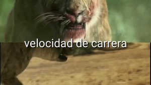 batalla: smilodon vs hyaenodon