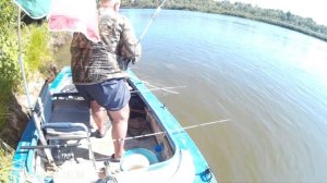 Рыбалка в Харабалях. река Волга. август 2019 г. Белый амур на 12 кг.