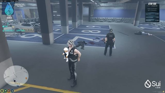 Fake NPC Trolling in LiquidRP смотреть онлайн