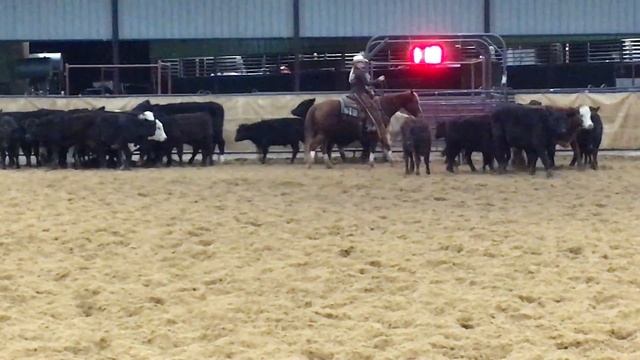 RN One Time Viper смотреть онлайн