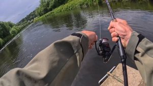 🐍megabass lates  coloris waka ayu🐍 perche de 31 cm de l’aulne 💧@megabass