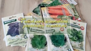 Готовлюсь к посевной,  запасаюсь семенами /  vlog Дача как есть 7.02.2025