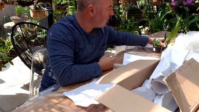 Open box orquidário Klippel смотреть онлайн