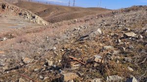 Шикори Кабк شکار کبک  Avcılık Kabk  Hunting Kabk  Охота на куропатка