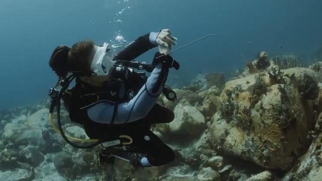 Ordinateur de plongée Aqualung i330 R : Avis et Test complet