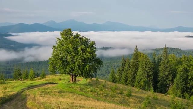 Өмір ай... смотреть онлайн