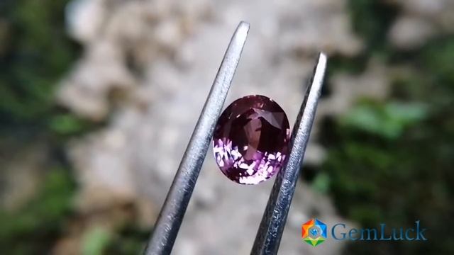 Purplish Pink Sapphire for your lovely Jewellery смотреть онлайн