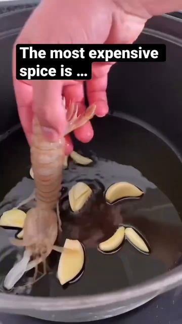 Spanish paella includes the world's most expensive spice- saffron #shots #foodshorts #paellarecipe смотреть онлайн