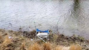 Рыбалка в Харабалях. Астраханской области.  На ерике. Буффало одна за одной.