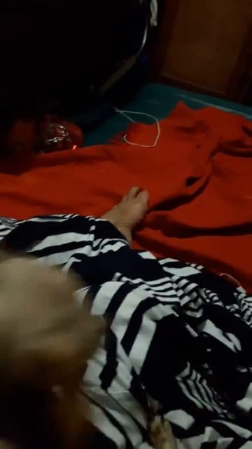 CHIQUI 63 días gestacion смотреть онлайн