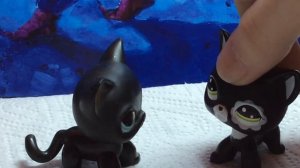 А вы не знаете почему живот болит