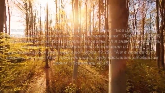 Книга «Борьба и мужество: Не в огненной колеснице» (Элен Уайт) (глава 8.11) смотреть онлайн