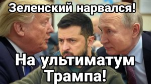 06.02.2025 ТАМИР ШЕЙХ / ОКСАНА ЛАТЫНИНА. ЕВРОПА НАРВАЛИСЬ НА УЛЬТИМАТУМ Трампа ОЧЕРЕДНОЙ РАЗГРОМ ВСУ