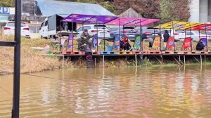 Приехал ловить форель, а клевал карп. Столько КАРПа я ещё никогда не ловил.#fishing #낚시 #рыбалка