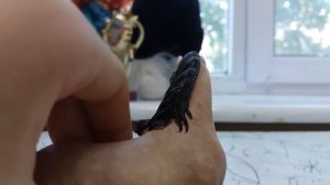 Модельный обзор на андалузскую кобылу Schleich/Шляйх