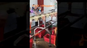 Линия обвалки грудки птицы полуавтомат