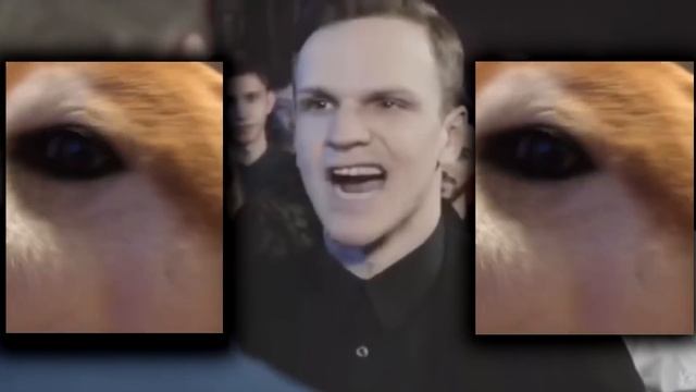 Гав Раунд Ларин смотреть онлайн