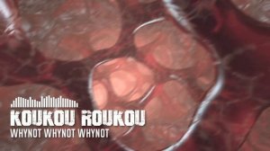 Whynot Whynot Whynot - Koukou Roukou [psychobilly/crust cover]