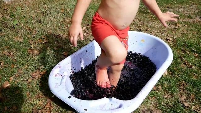 делаем виноградный сок смотреть онлайн