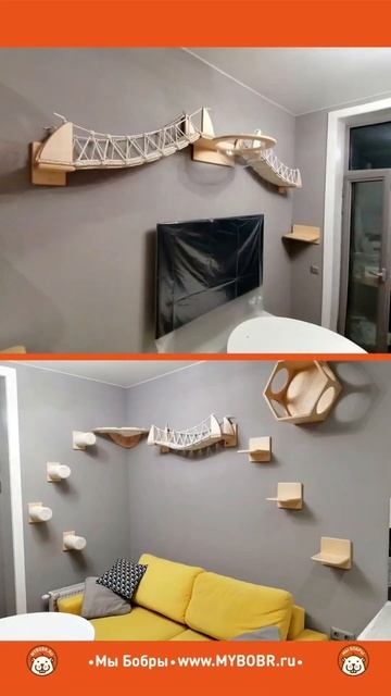 Показываем новый уютный котодром для двух одинаковых котиков)