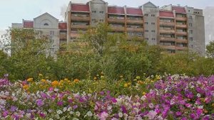 Краснокаменск-мой город
