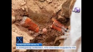 В России клонируют динозавров