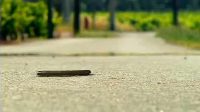 09 Трусишка смотреть онлайн