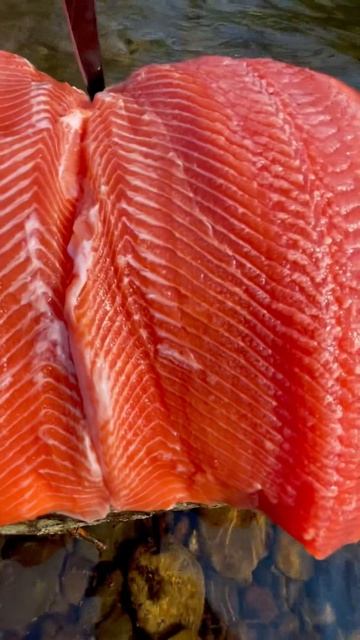 Так выглядит хорошая Горбуша #fishing #salmon #кижуч #голец #горбуша смотреть онлайн