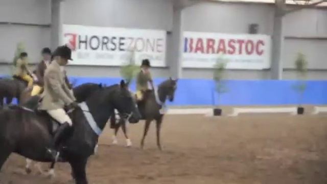 Cheraton Mikado winning the 2013 Barastoc Show Hunter Galloway of the Year смотреть онлайн