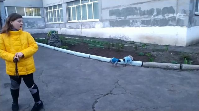 Две половинки одного целого💞💞Сладкая парочка💕💕 смотреть онлайн